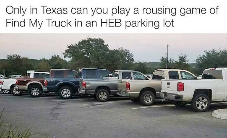 Texan Humor: The Lone Star States Meme Game