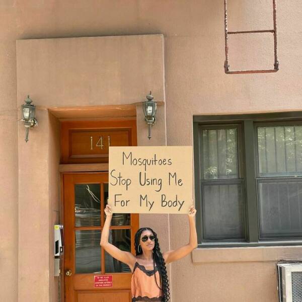 Everyday Frustrations: One Womans Protest For The Rest Of Us