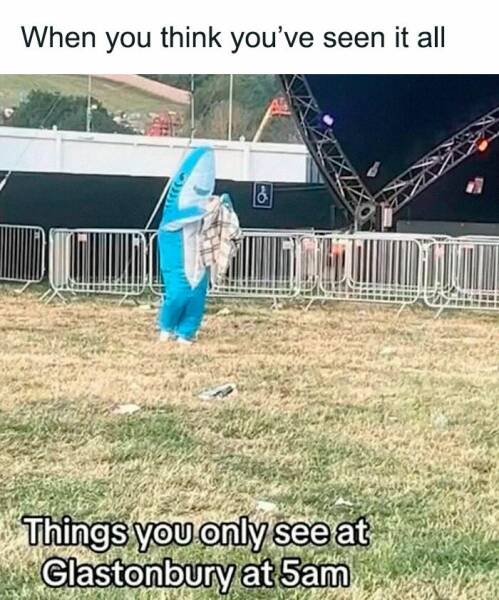 Tea Time Chuckles: Great British Memes For Your Enjoyment