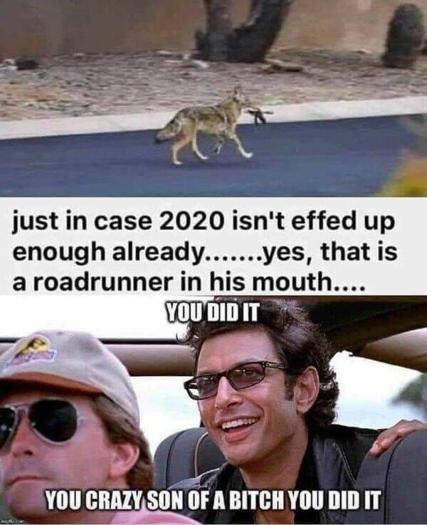 Grumpy Dad Approved: Movie Memes For Know-It-Alls Grumpy Dad Approved: Movie Memes For Know-It-Alls