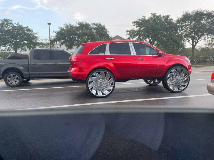 Wild Wheels In Traffic