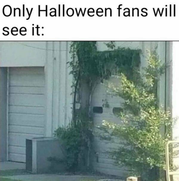 Spooktacular Halloween Humor: The Funniest Memes