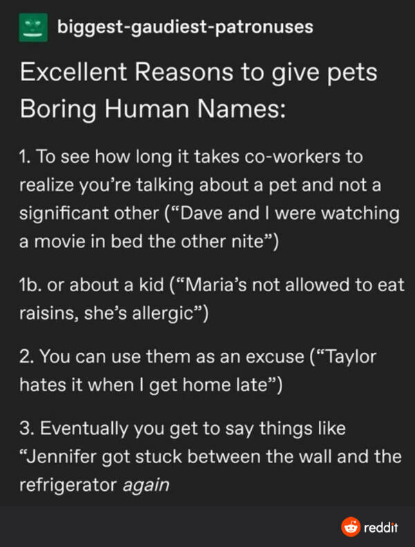 Life Hacks That Are More Hilarity Than Helpfulness Life Hacks That Are More Hilarity Than Helpfulness