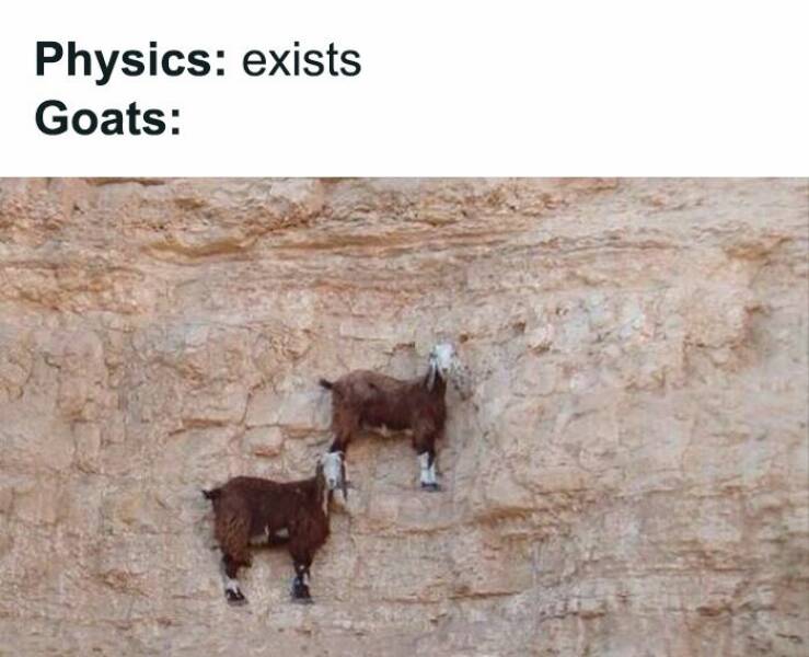 Scientifically Hilarious: Clever Science Memes
