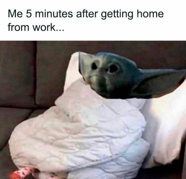 Workday Survival: Hilarious Memes To Keep You Going