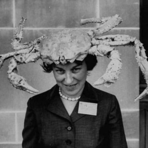 Curiosities From The Digital Museum: Weird And Disturbing Finds