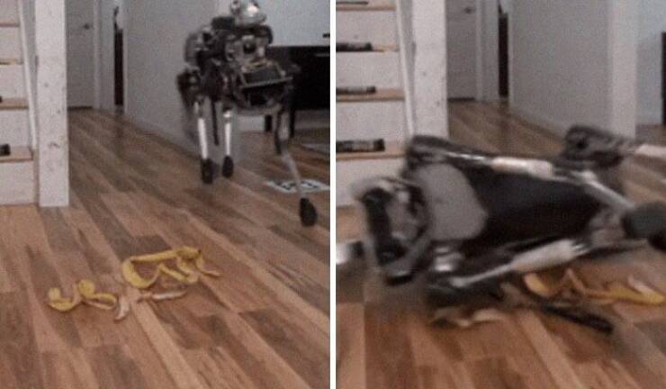 Robots That Miss The Mark: Epic Failures