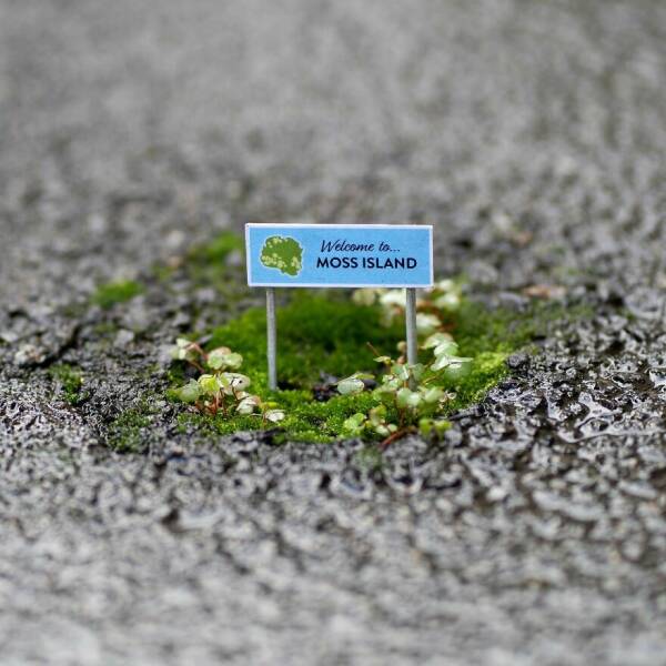 Urban Artistry: The Artist Who Adds Humor To The Streets Urban Artistry: The Artist Who Adds Humor To The Streets