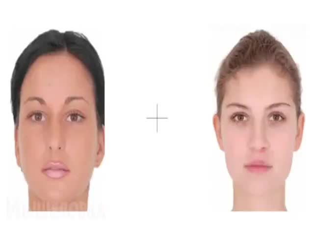 The Flashed Face Distortion Effect