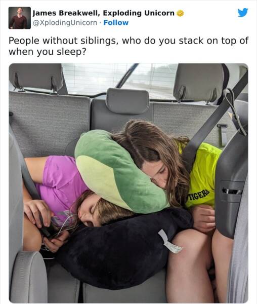 Hilarious And Relatable Gems From Exploding Unicorn