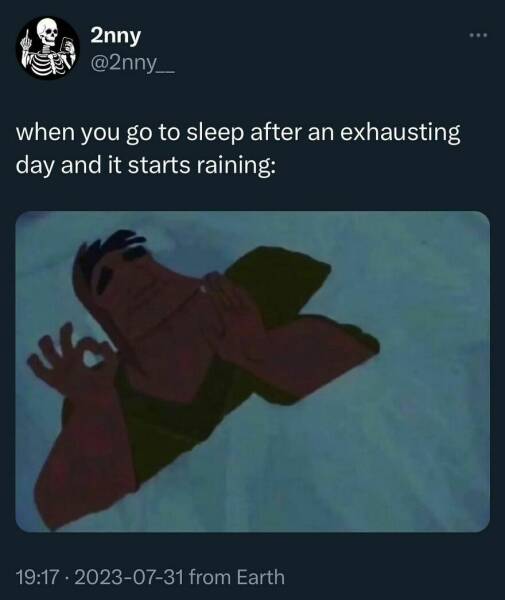 Laughing Through Life: Tweets That Speak To Us All