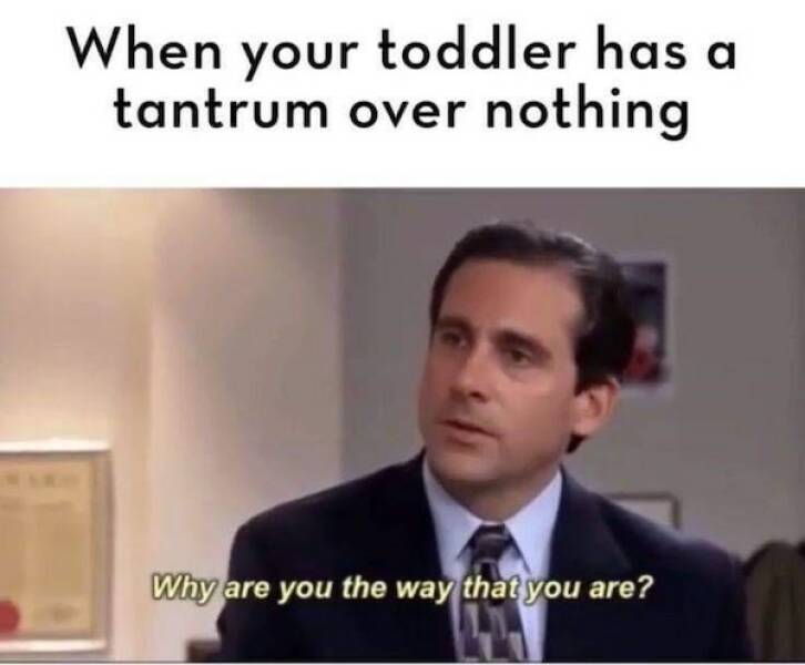 Parenting Toddlers: Memes That Hit Home