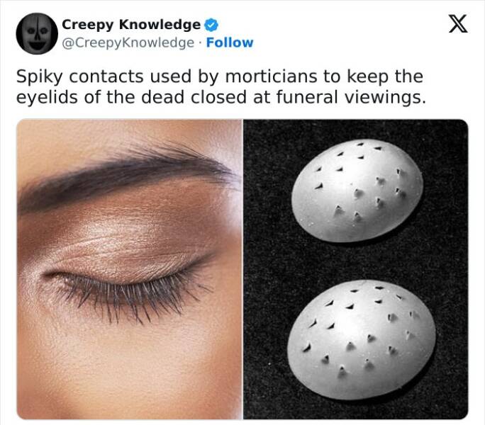 Chilling Trivia: Delving Into Creepy Knowledge