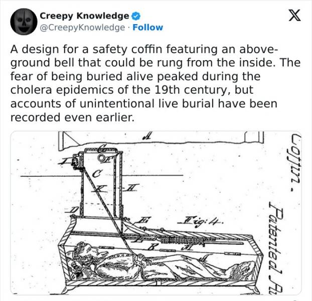 Chilling Trivia: Delving Into Creepy Knowledge