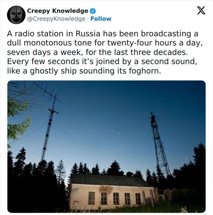 Chilling Trivia: Delving Into Creepy Knowledge