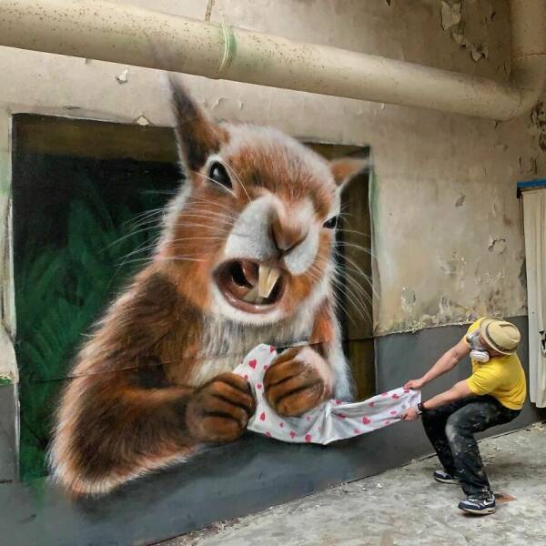 Daily Picdump