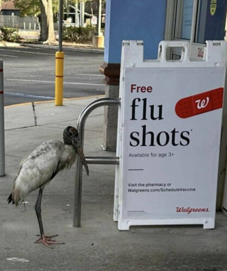 Daily Picdump