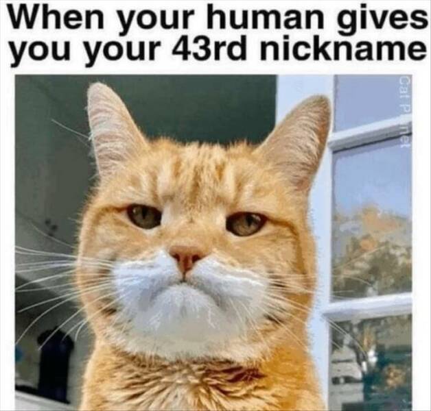 Funny Picdump Funny Picdump