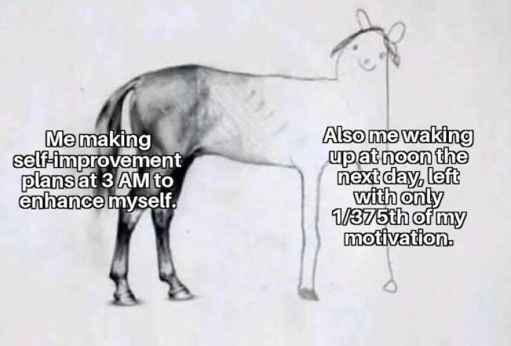 Memes For Introverts: Enjoying Alone Time