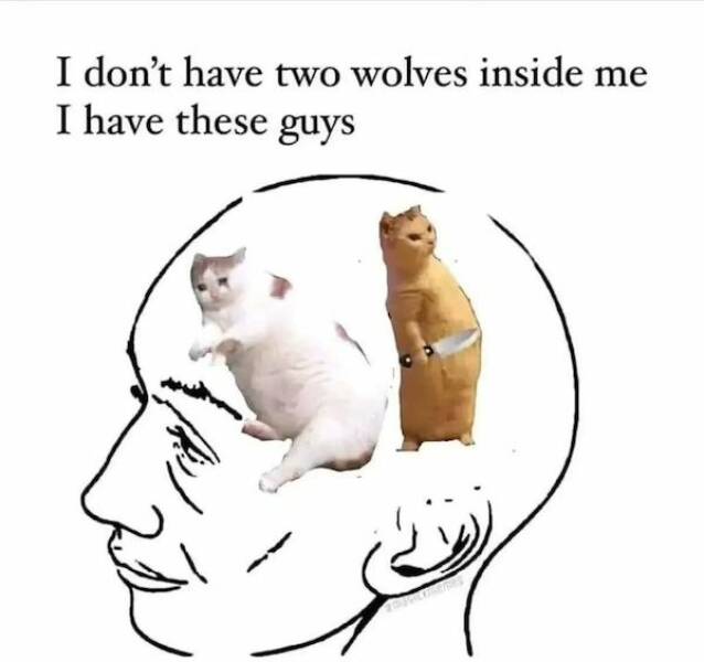 Memes For Introverts: Enjoying Alone Time