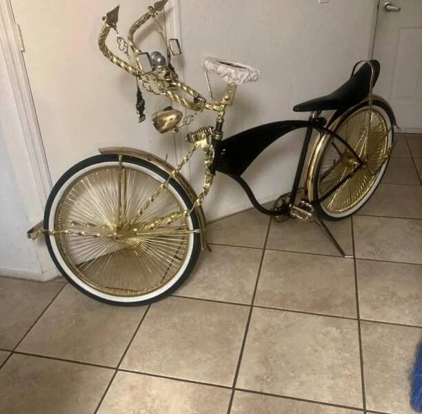 Morning Picdump Morning Picdump