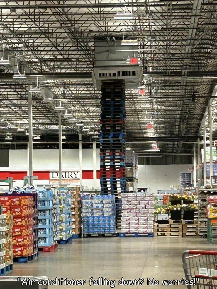 Morning Picdump Morning Picdump