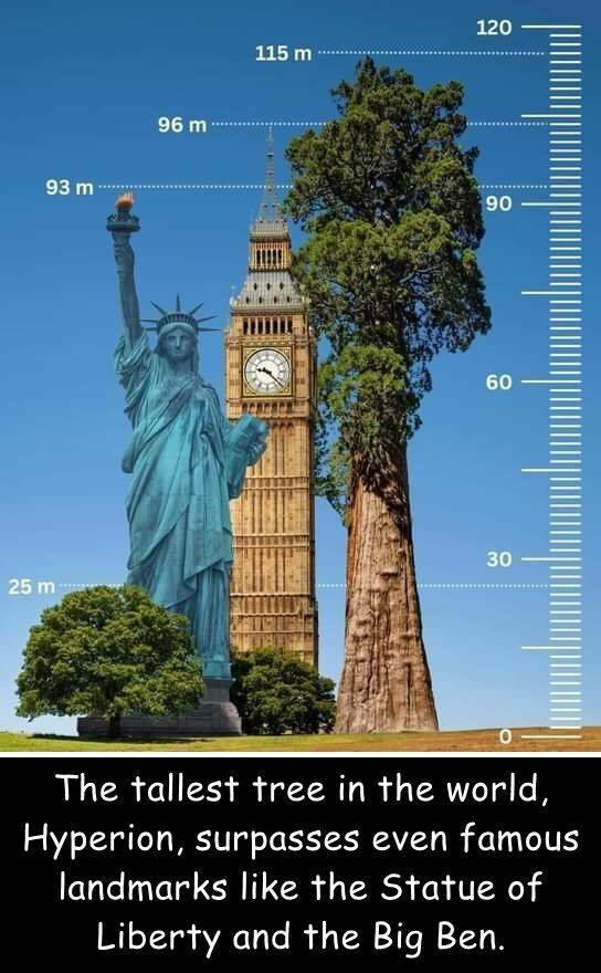 Morning Picdump Morning Picdump
