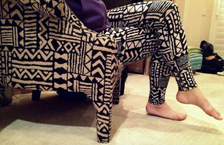 Perfect Camouflage: Things That Left Us Double-Taking