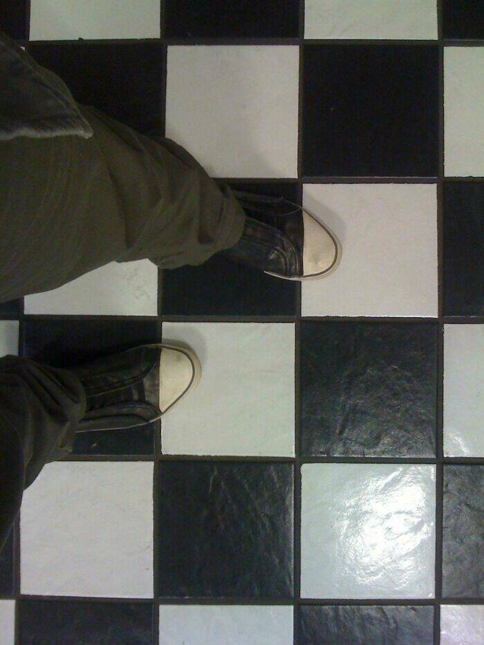Perfect Camouflage: Things That Left Us Double-Taking