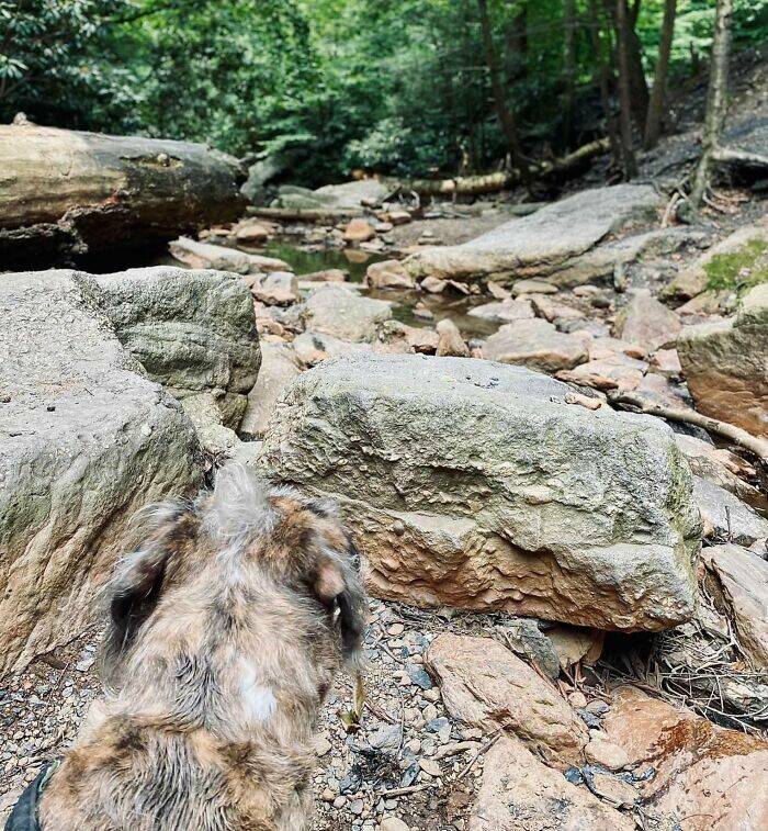 Perfect Camouflage: Things That Left Us Double-Taking