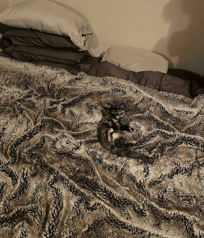 Perfect Camouflage: Things That Left Us Double-Taking