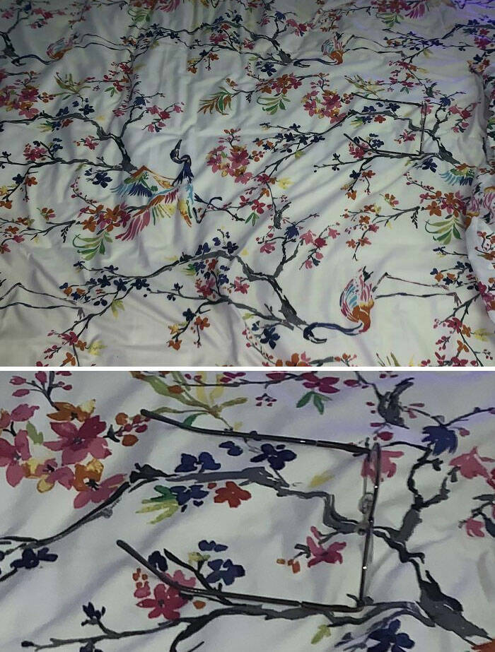 Perfect Camouflage: Things That Left Us Double-Taking