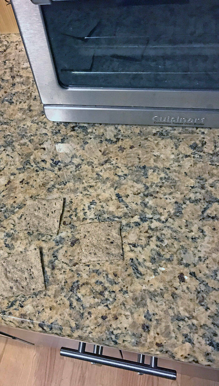Perfect Camouflage: Things That Left Us Double-Taking