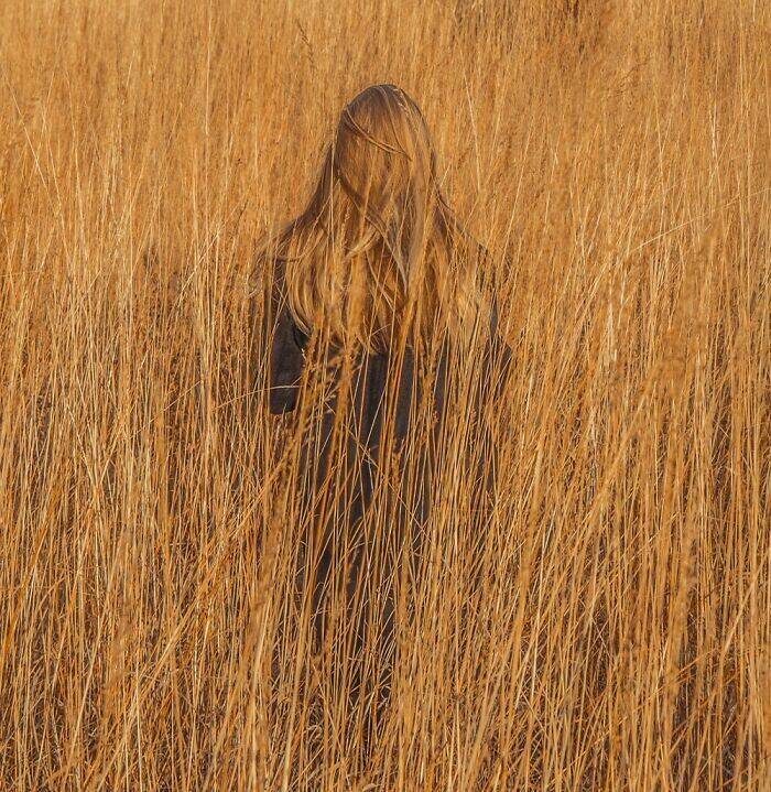 Perfect Camouflage: Things That Left Us Double-Taking