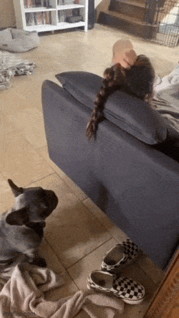 Daily Gifdump