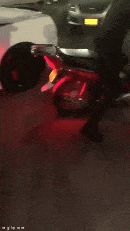 Daily Gifdump
