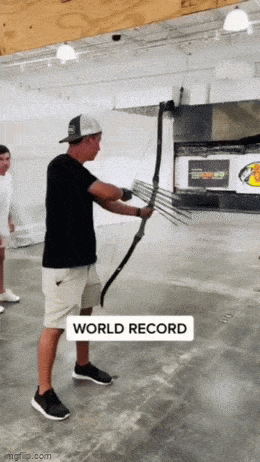 Morning Gifdump