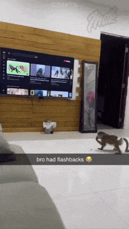 Morning Gifdump
