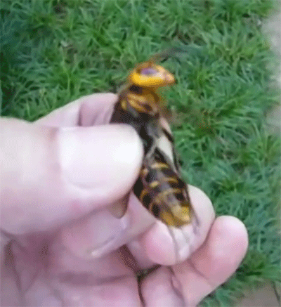 Surprising Random Facts For Your Back Pocket