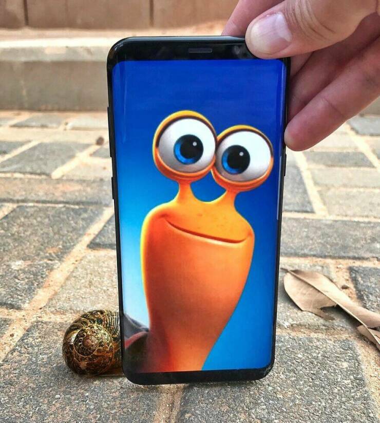 Snap, Edit, Create: Breathing Life Into Everyday Objects With Your Phone