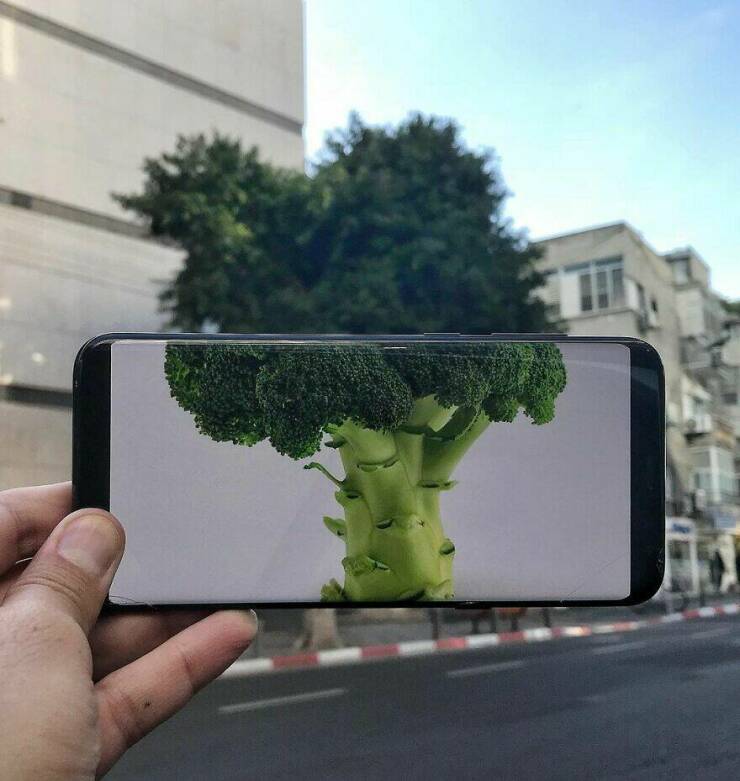 Snap, Edit, Create: Breathing Life Into Everyday Objects With Your Phone