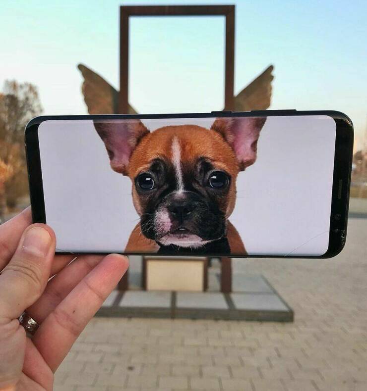 Snap, Edit, Create: Breathing Life Into Everyday Objects With Your Phone