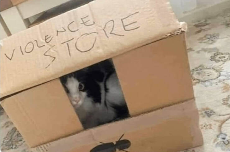 Wild Laughs: Discovering The Unexpected In Outdoor Signs Wild Laughs: Discovering The Unexpected In Outdoor Signs