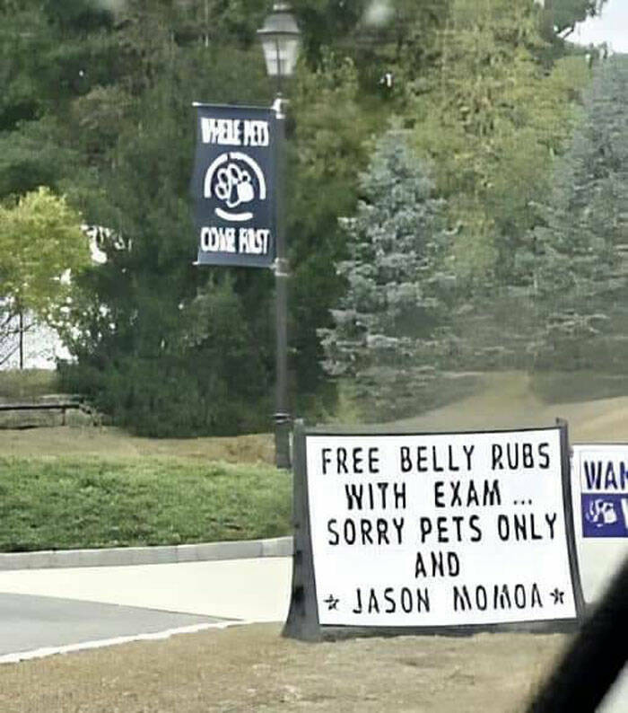 Wild Laughs: Discovering The Unexpected In Outdoor Signs Wild Laughs: Discovering The Unexpected In Outdoor Signs