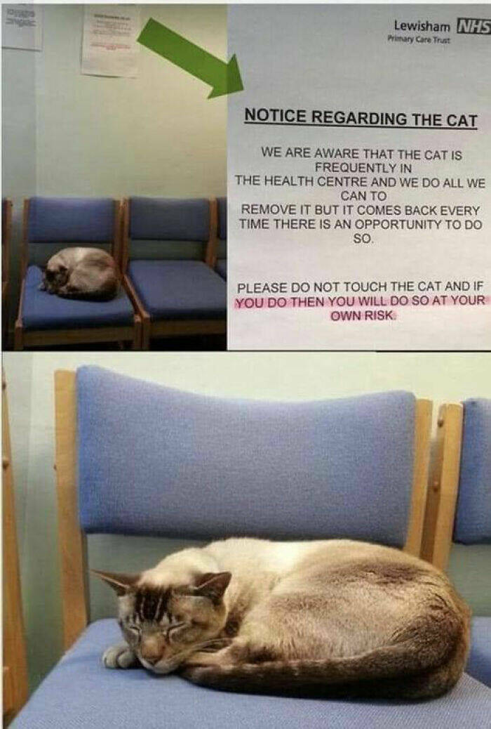 Wild Laughs: Discovering The Unexpected In Outdoor Signs Wild Laughs: Discovering The Unexpected In Outdoor Signs