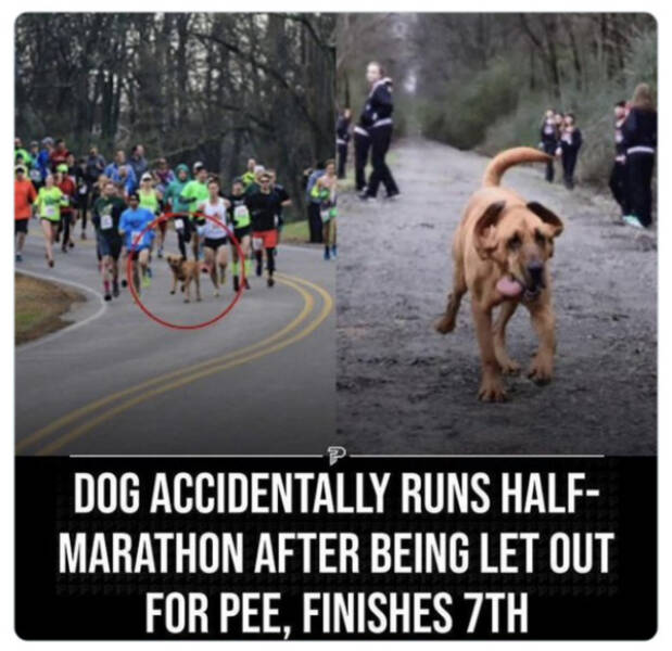 Family-Friendly Humor: Polite Jokes for All Ages