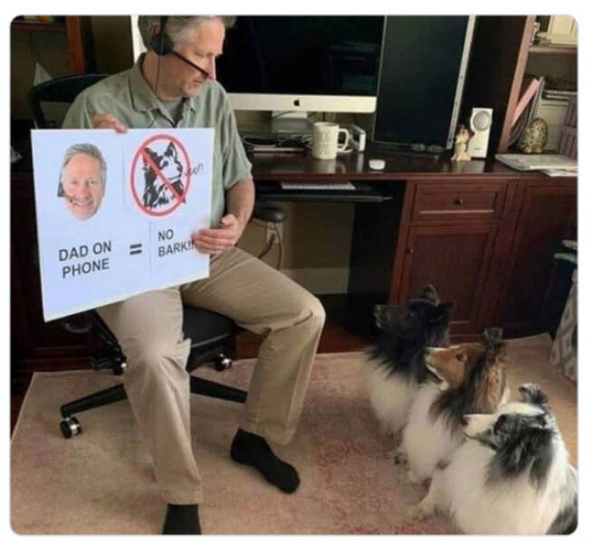 Family-Friendly Humor: Polite Jokes for All Ages