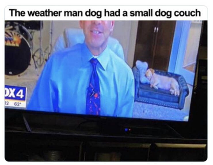 Family-Friendly Humor: Polite Jokes for All Ages