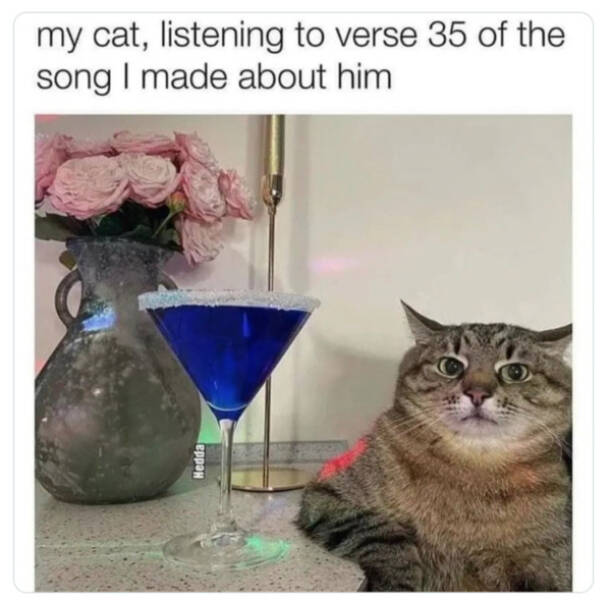 Family-Friendly Humor: Polite Jokes for All Ages