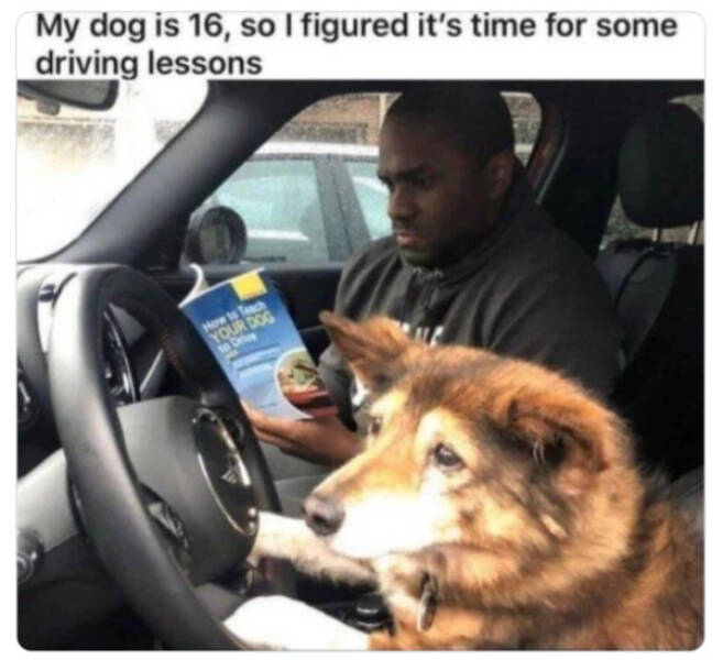 Family-Friendly Humor: Polite Jokes for All Ages